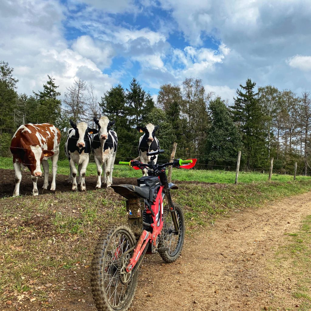 elektrisch enduro Sur-Ron Endurofun Herfstrit 4