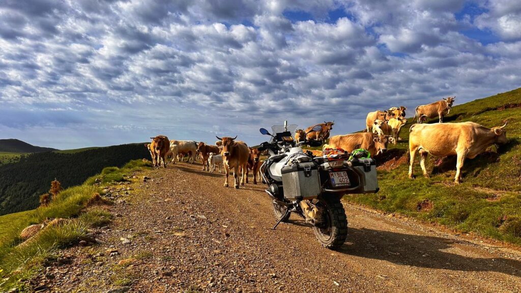 Endurofun travel Training 2026_8